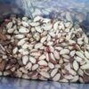 Brazil Nuts Bulk Wholesale & Retail Supply