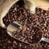 Bulk Green & Roasted Coffee Beans.