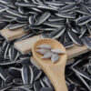 Bulk Sunflower Seeds Premium Hulled