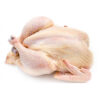 Chickens Bulk Wholesale & Foodservice Supply
